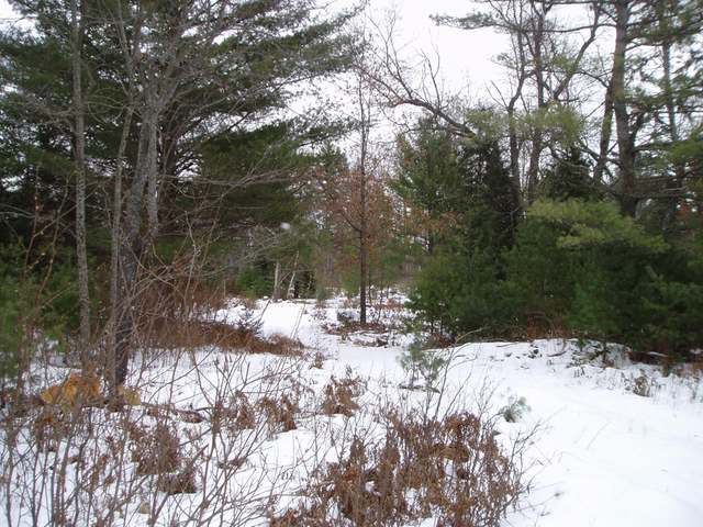 Lot 1 Spider Lake Road Rhinelander, WI 54501 - Photo 3 of 7 Gallery Image 3