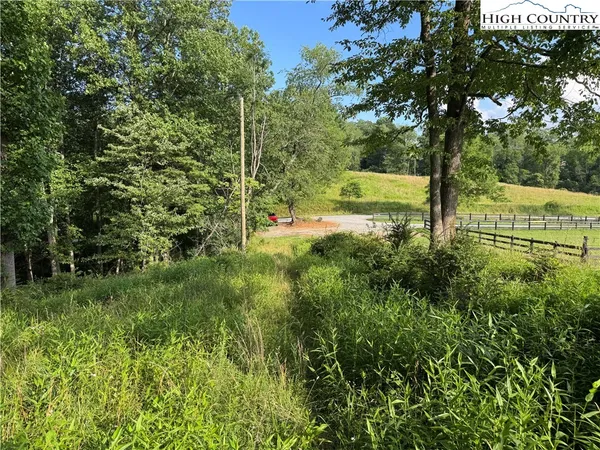$35,000 | Lot 20 Double Branch Road, Grassy Creek, NC 28631