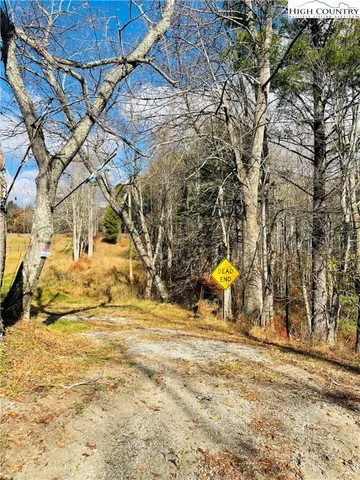 a view of a road with a yard and large trees
