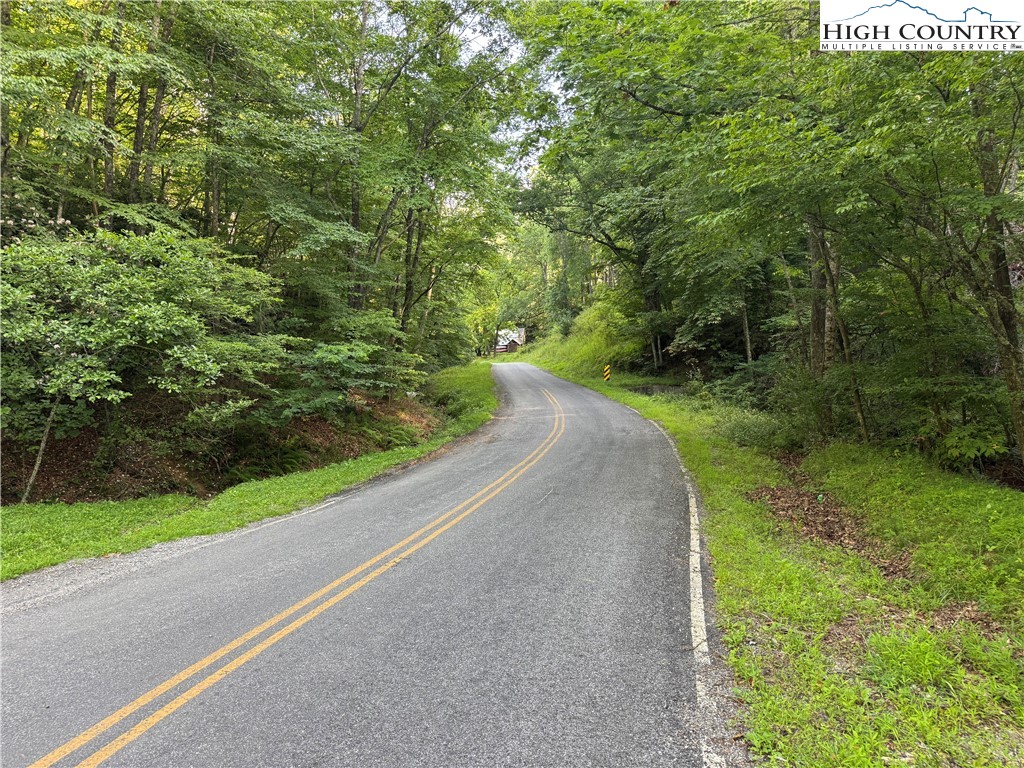 Lot 20 River Aspen Road, Unit 20 McGrady, NC 28649 - Photo 12 of 13 a view of a road with a yard and large trees