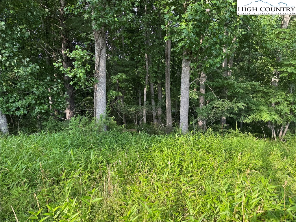 Lot 20 River Aspen Road, Unit 20 McGrady, NC 28649 - Photo 3 of 13 a view of forest