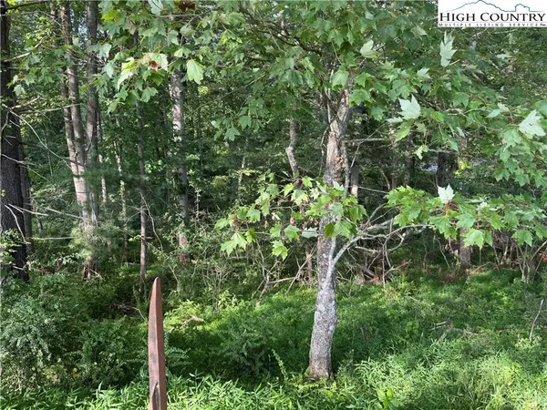 a backyard of a house with lots of trees