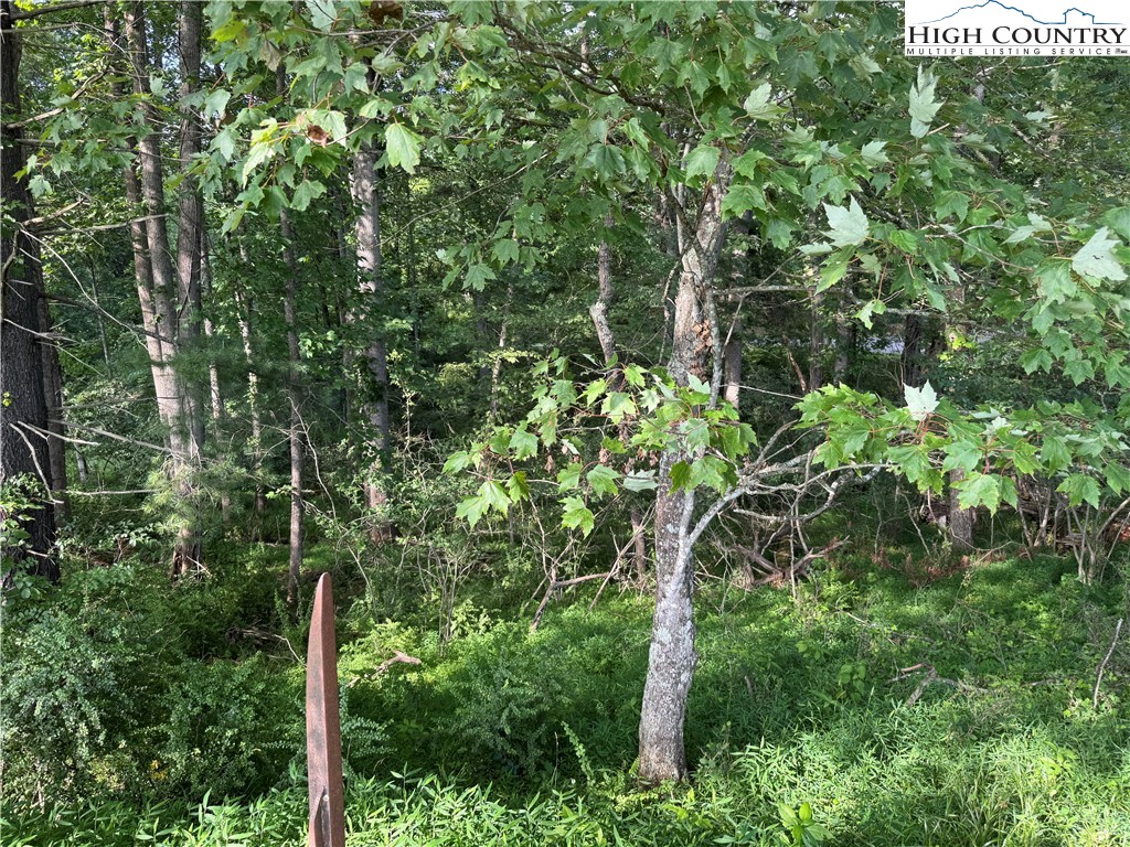 Lot 20 River Aspen Road, Unit 20 McGrady, NC 28649 - Photo 4 of 13 a backyard of a house with lots of trees