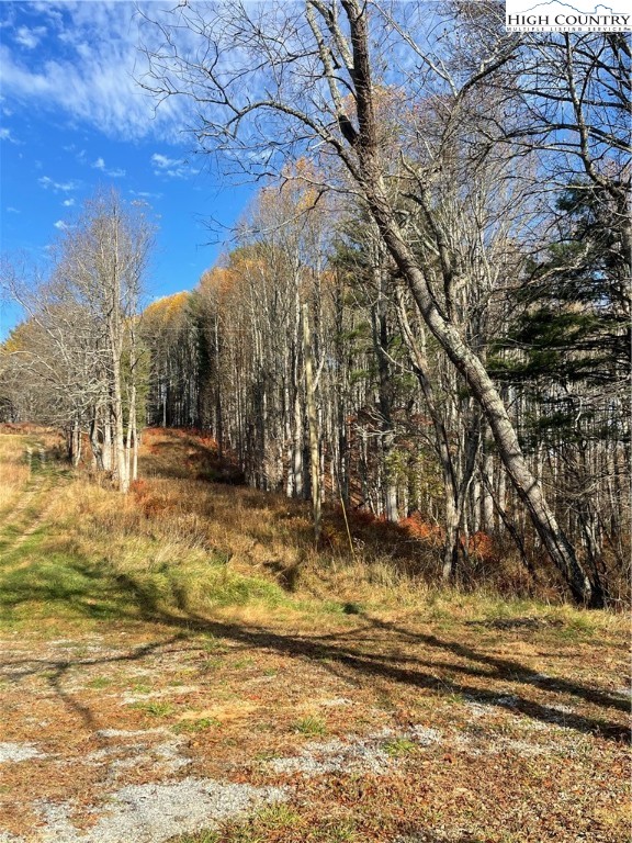 Lot 20 River Aspen Road, Unit 20 McGrady, NC 28649 - Photo 5 of 13 a view of yard with trees