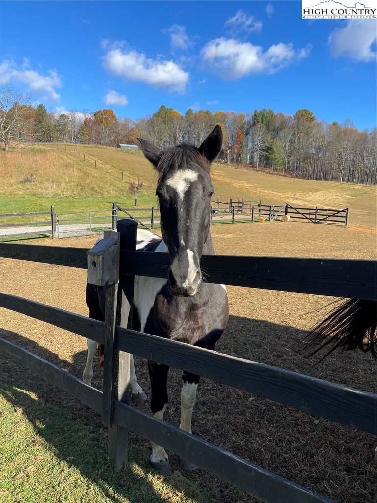 Lot 20 Double Branch Road Grassy Creek, NC 28631 - Photo 6 of 13 a view of a balcony with an ocean view