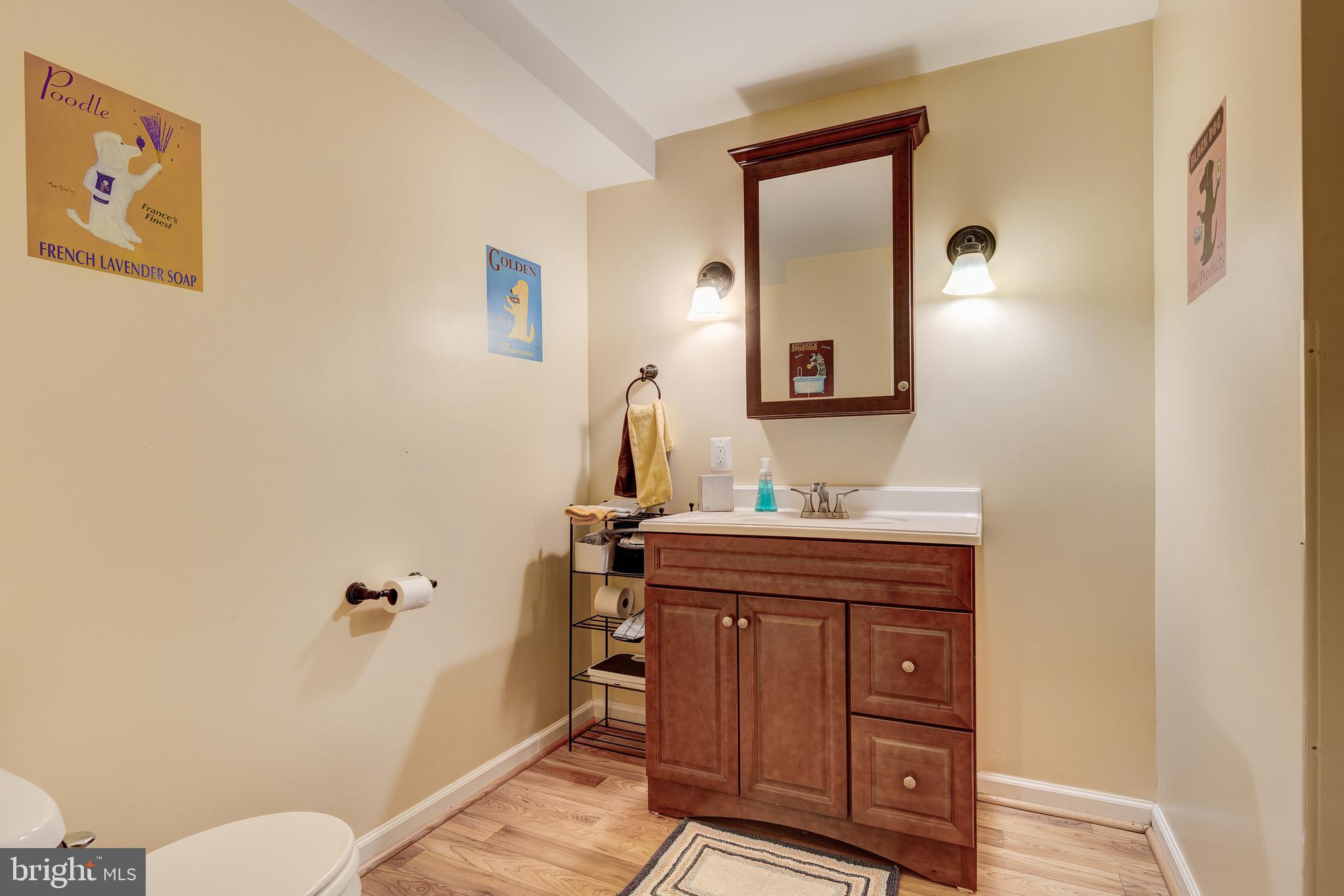 1798 Ridge Road Westminster, MD 21157 - Photo 65 of 65 RIGHT SIDE LOWER LEVEL FULL BATHROOM