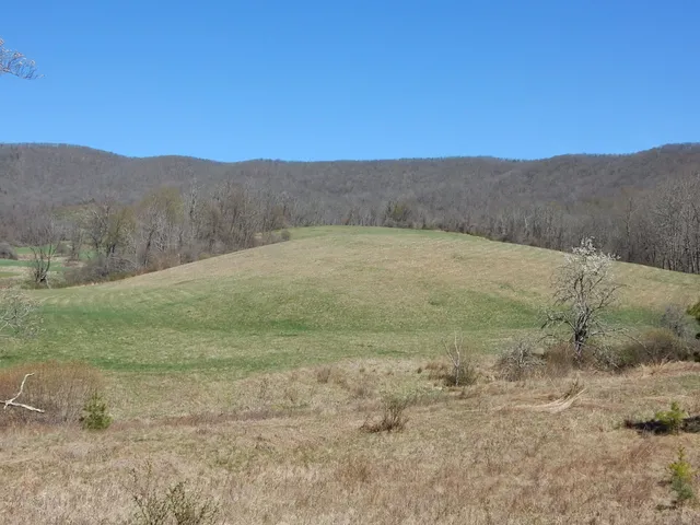 a view of a dry yard with mountain