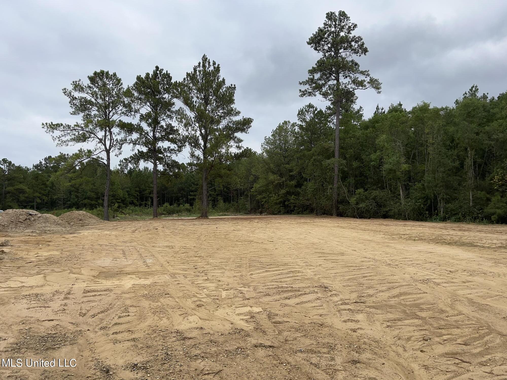 2800 Lakeview Road Hattiesburg, MS 39401 - Photo 3 of 10 IMG_6319