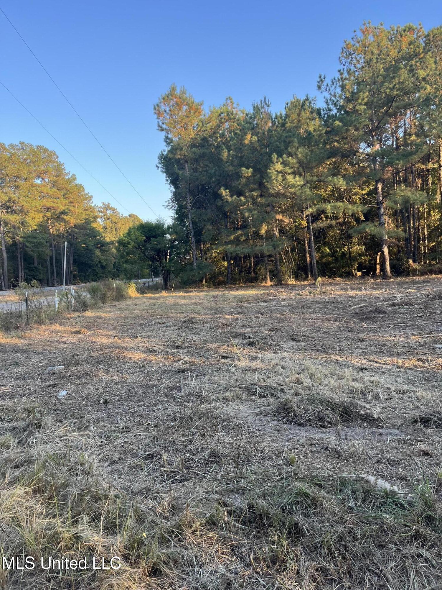 2800 Lakeview Road Hattiesburg, MS 39401 - Photo 4 of 10 IMG_0147