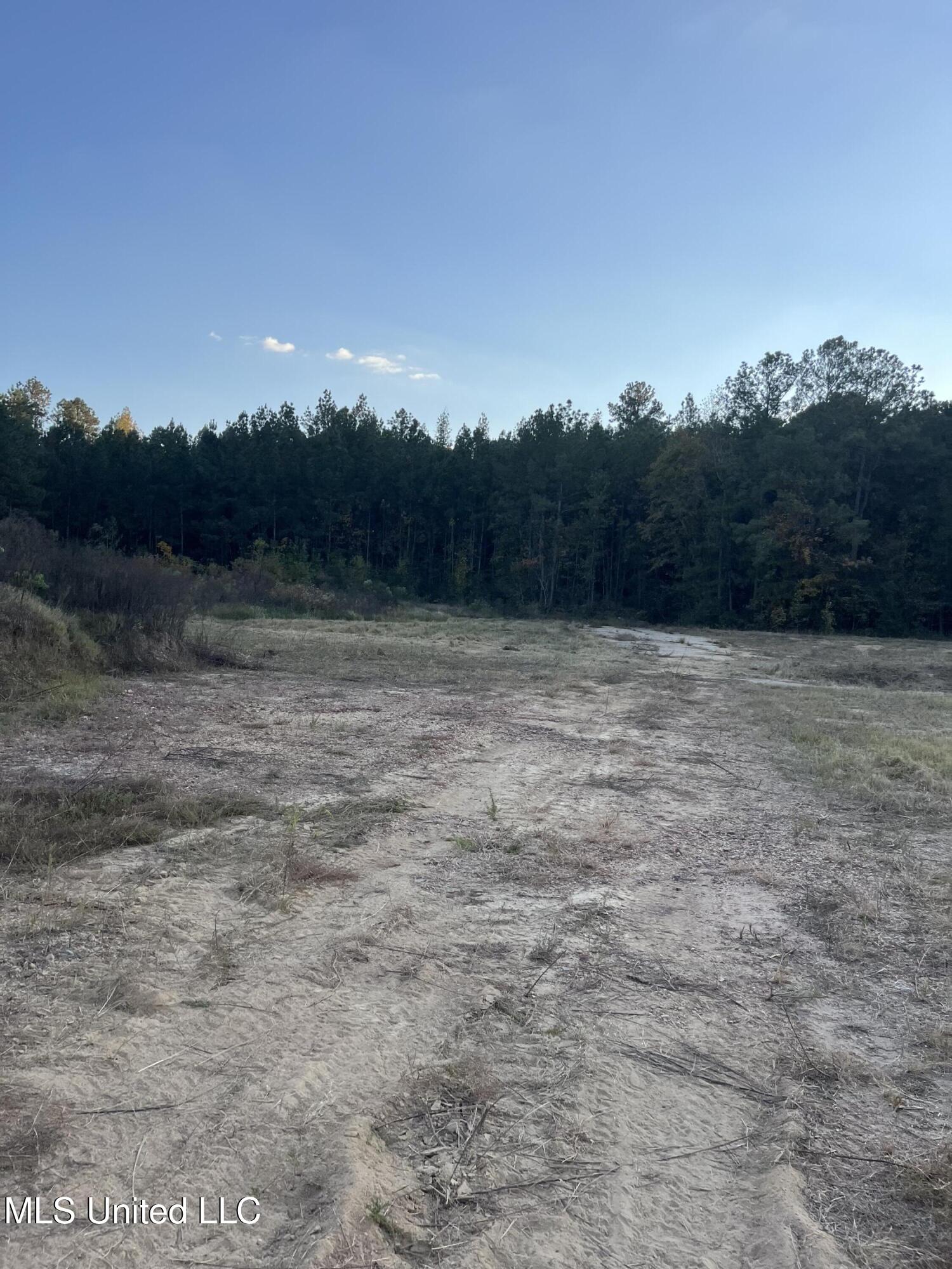 2800 Lakeview Road Hattiesburg, MS 39401 - Photo 6 of 10 IMG_0152