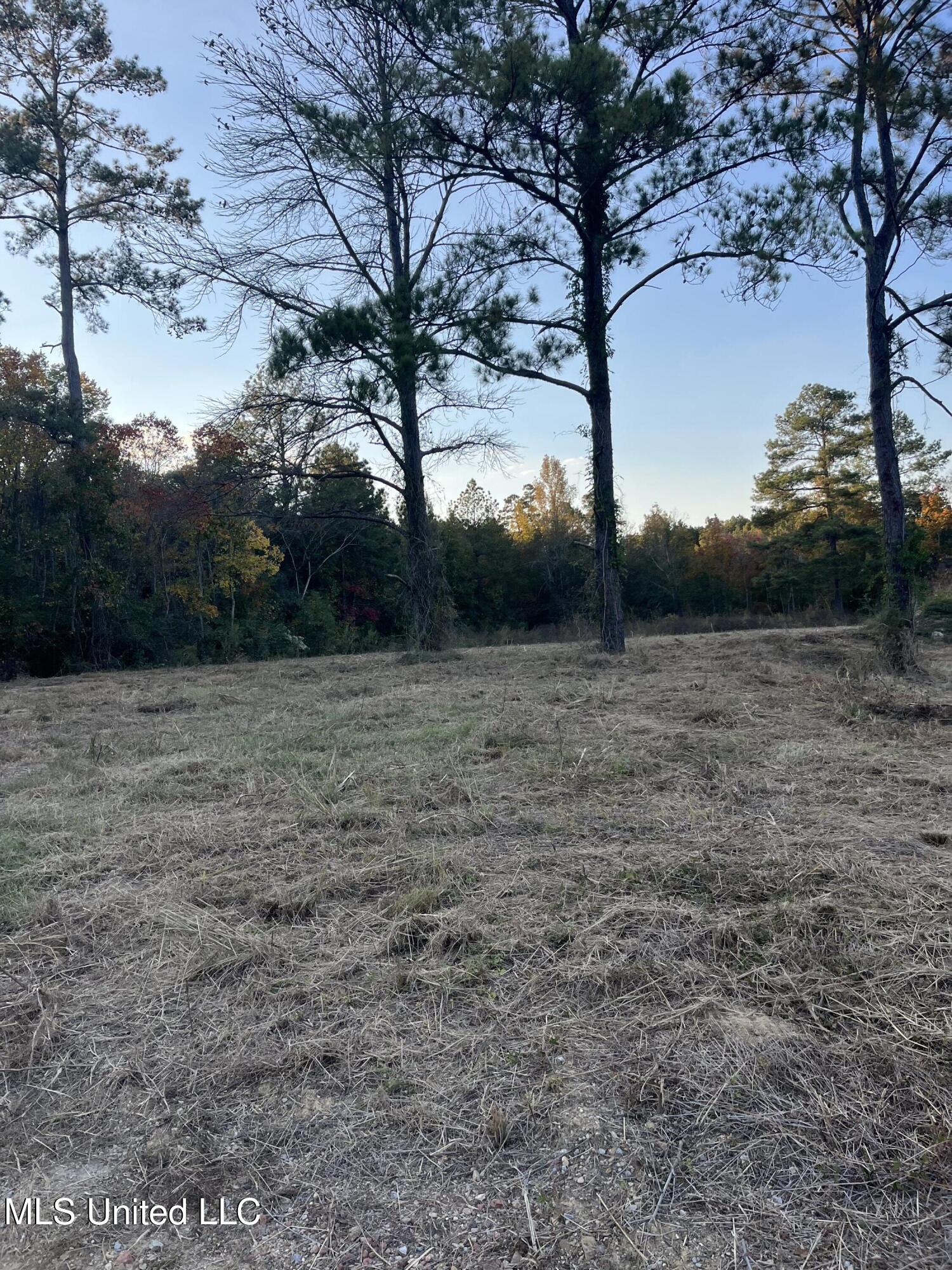 2800 Lakeview Road Hattiesburg, MS 39401 - Photo 7 of 10 IMG_0154