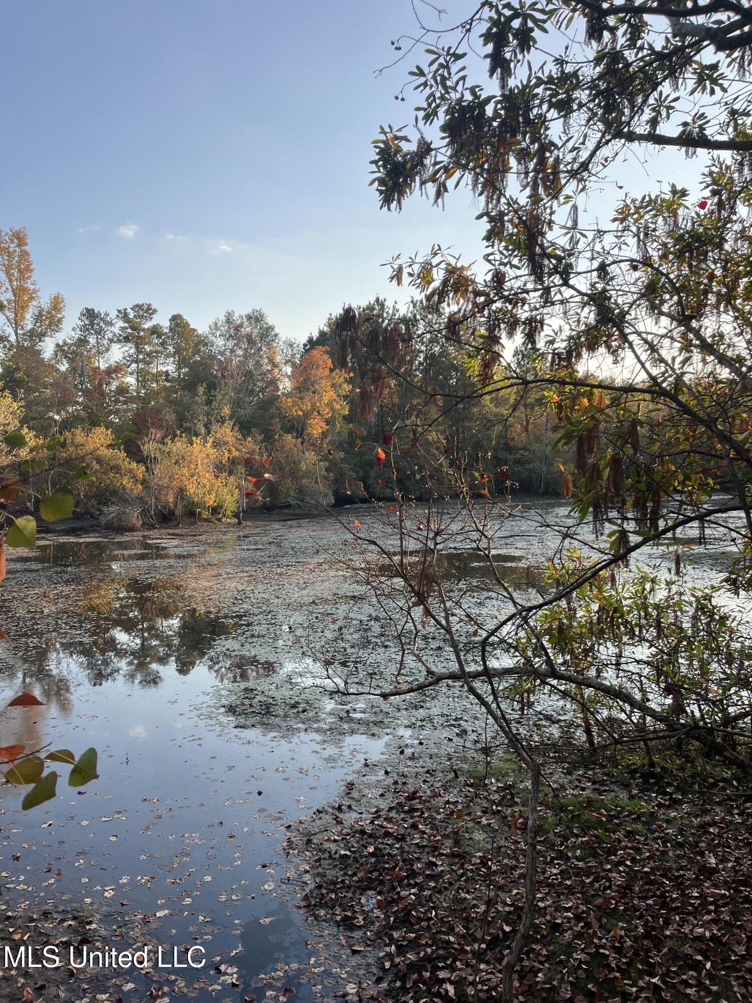 2800 Lakeview Road Hattiesburg, MS 39401 - Photo 9 of 10 IMG_0157