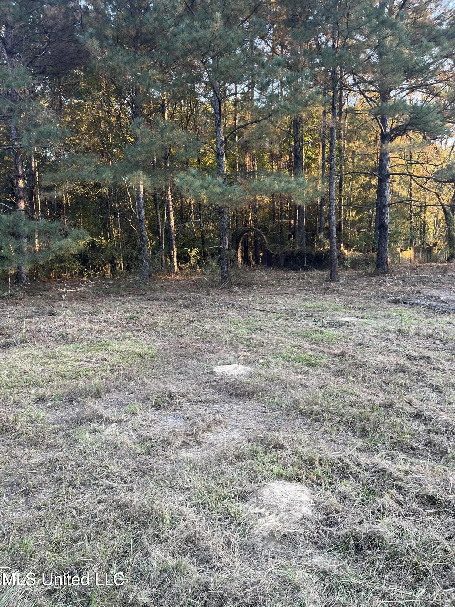 2800 Lakeview Road Hattiesburg, MS 39401 - Photo 10 of 10 IMG_0158