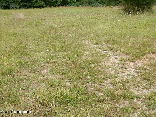 0 Deatsville Road Shepherdsville, KY 40165 - Photo 5 of 5 DSCN8222