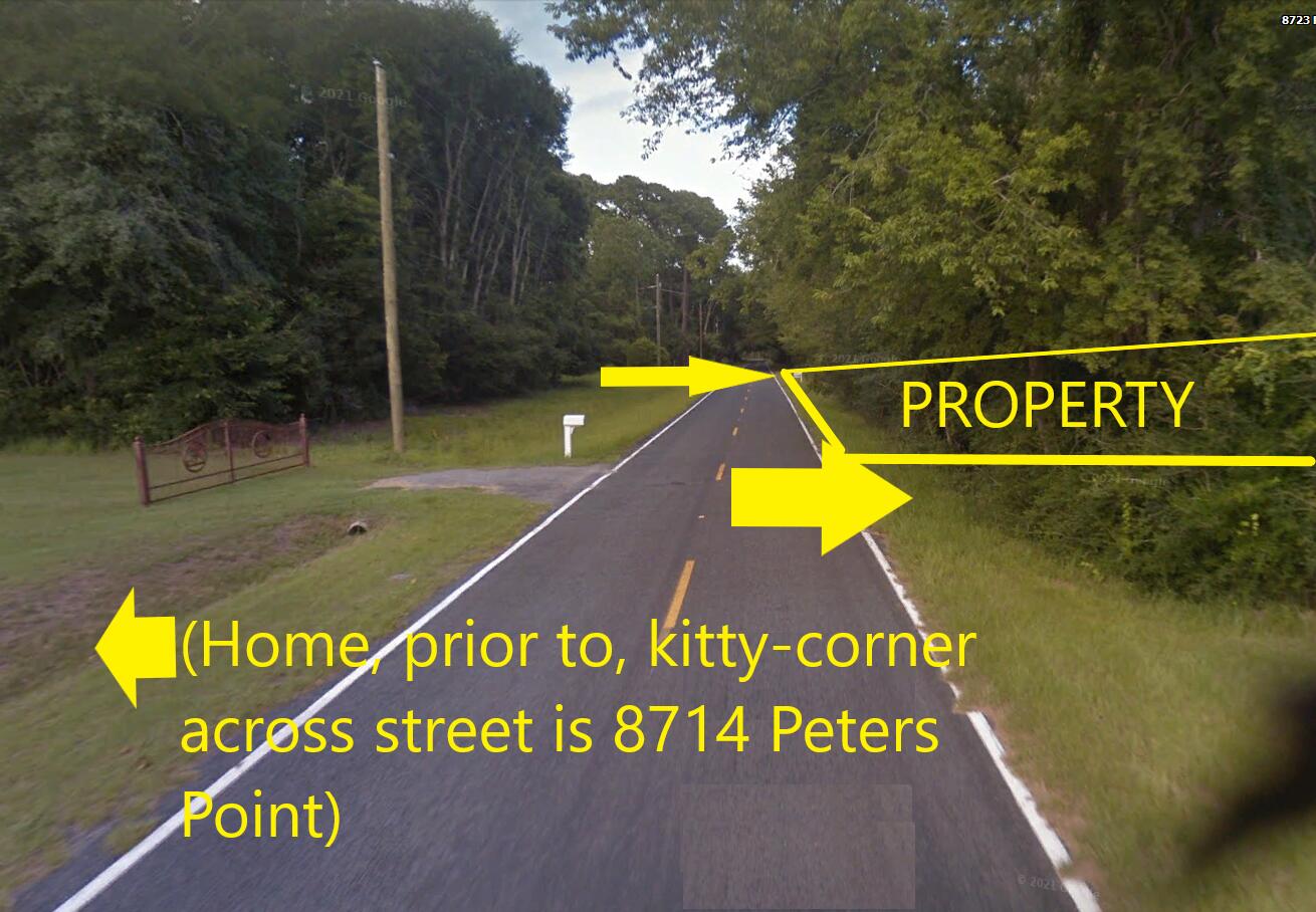 8705 Peters Point Road Edisto Island, SC 29438 - Photo 7 of 26 I