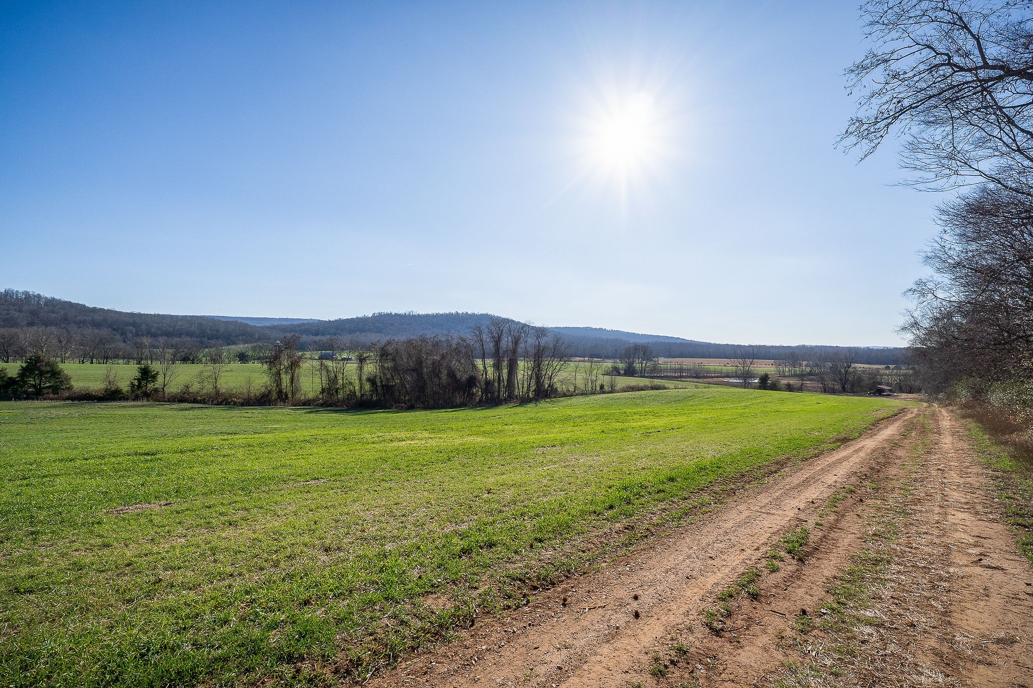 505 Thaxton Road McMinnville, TN 37110 - Photo 29 of 31