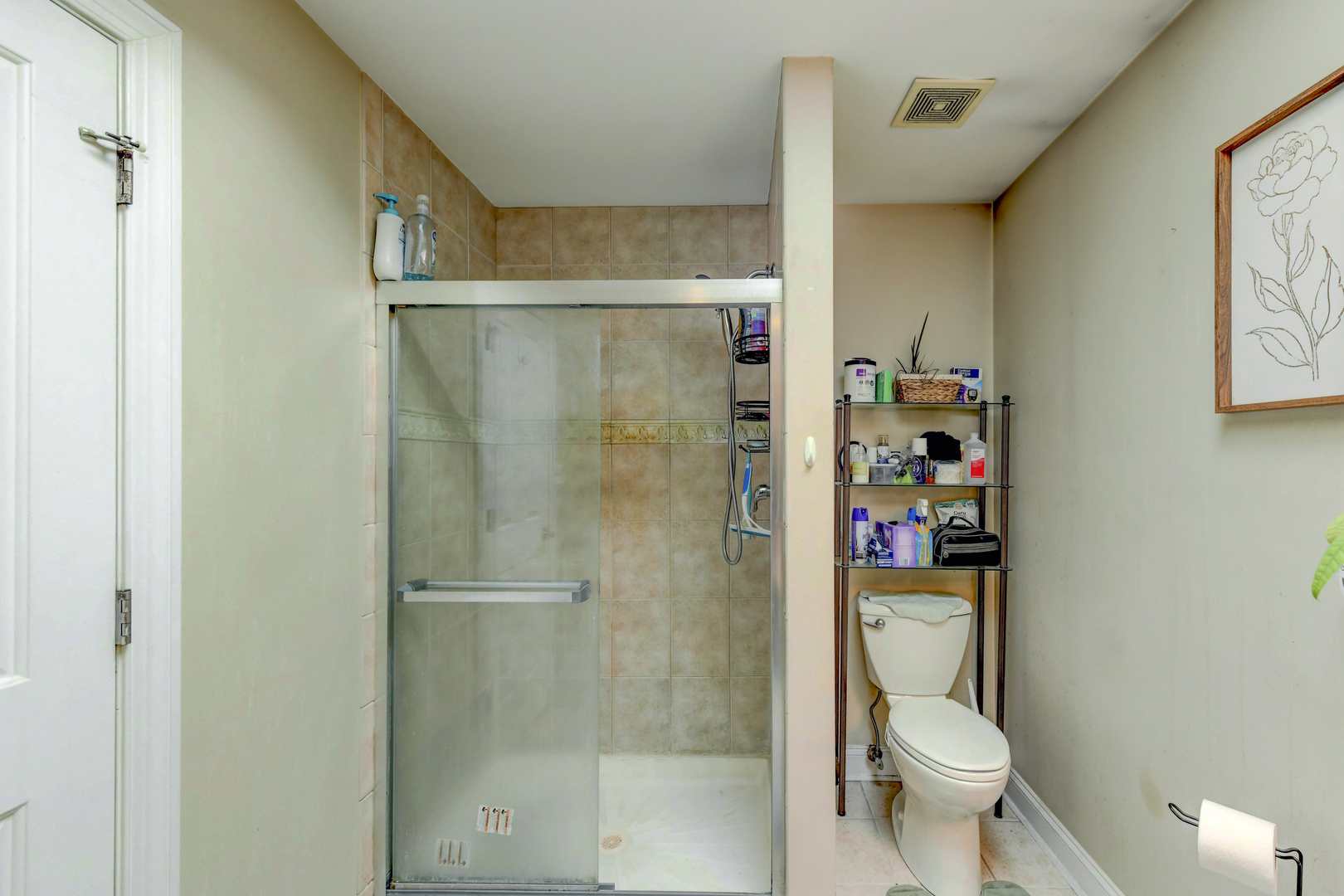 4999 Hawk Lane Monee, IL 60449 - Photo 13 of 20 a bathroom with a shower a toilet and a sink