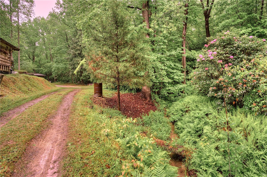 479 Towe Road Salem, SC 29676 - Photo 45 of 50 Gallery Image 45