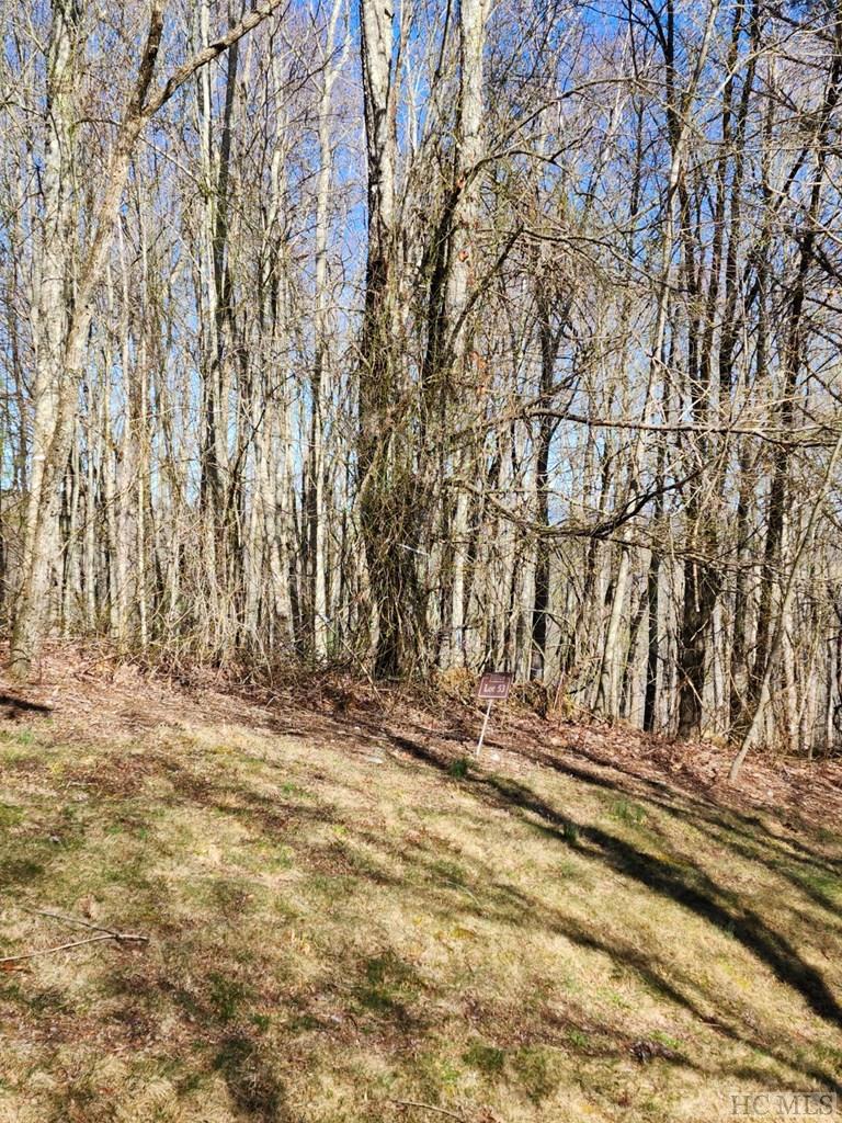 Lot # Springhead Trail Cullowhee, NC 28723 - Photo 2 of 4 Gallery Image 2