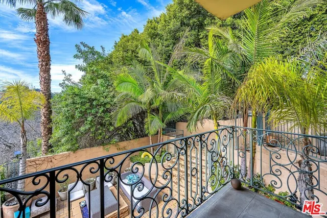 a view of a backyard with potted plants