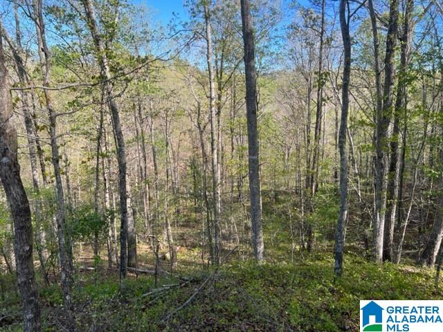 707 Sequoyah Road, Unit 1 Pell City, AL 35128 - Photo 5 of 18