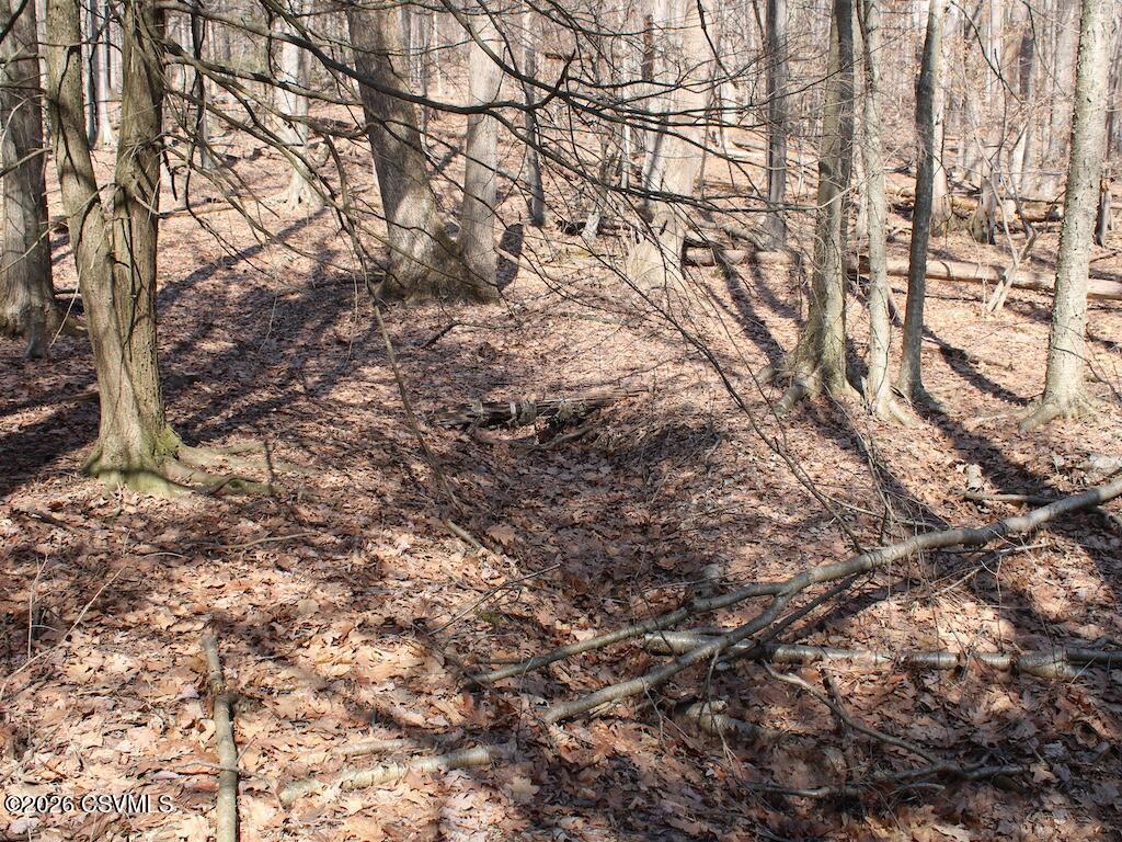 Squirrel Lane Shickshinny, PA 18655 - Photo 45 of 50