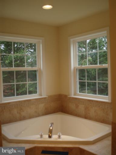 347 Saddle Road New Market, MD 21774 - Photo 28 of 30 Bath (Master)