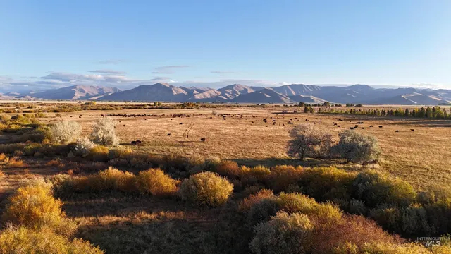 $1,500,000 | 20 Bellevue Id 83313, Bellevue, ID 83313