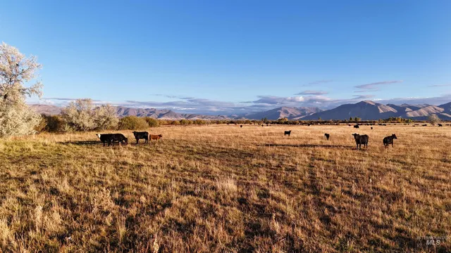 $1,500,000 | 20 Bellevue Id 83313, Bellevue, ID 83313