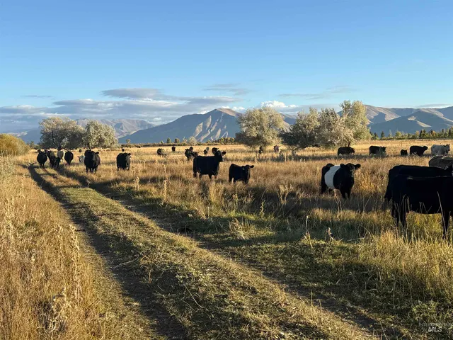 $1,500,000 | 20 Bellevue Id 83313, Bellevue, ID 83313