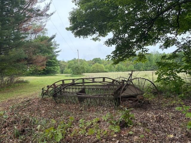 9528 57th Street Grand Junction, MI 49056 - Photo 11 of 26 IMG_2578