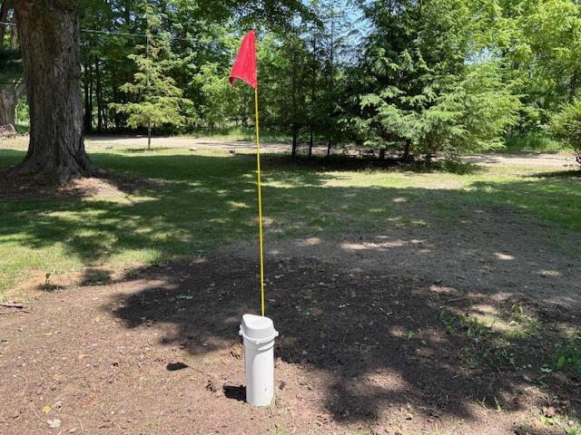 9528 57th Street Grand Junction, MI 49056 - Photo 24 of 26 IMG_2697