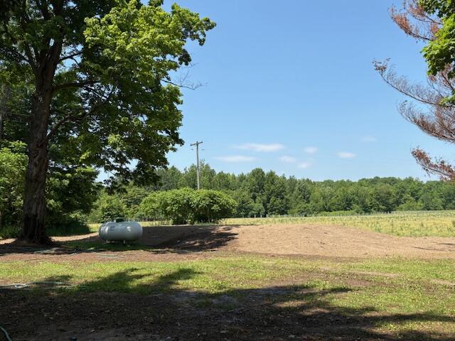 9528 57th Street Grand Junction, MI 49056 - Photo 9 of 26 IMG_2698