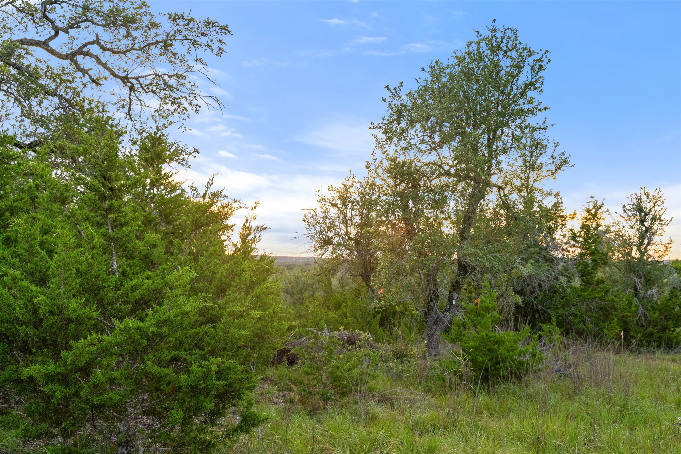 32000 Mirela Ann Road Dripping Springs, TX 78620 - Photo 4 of 12