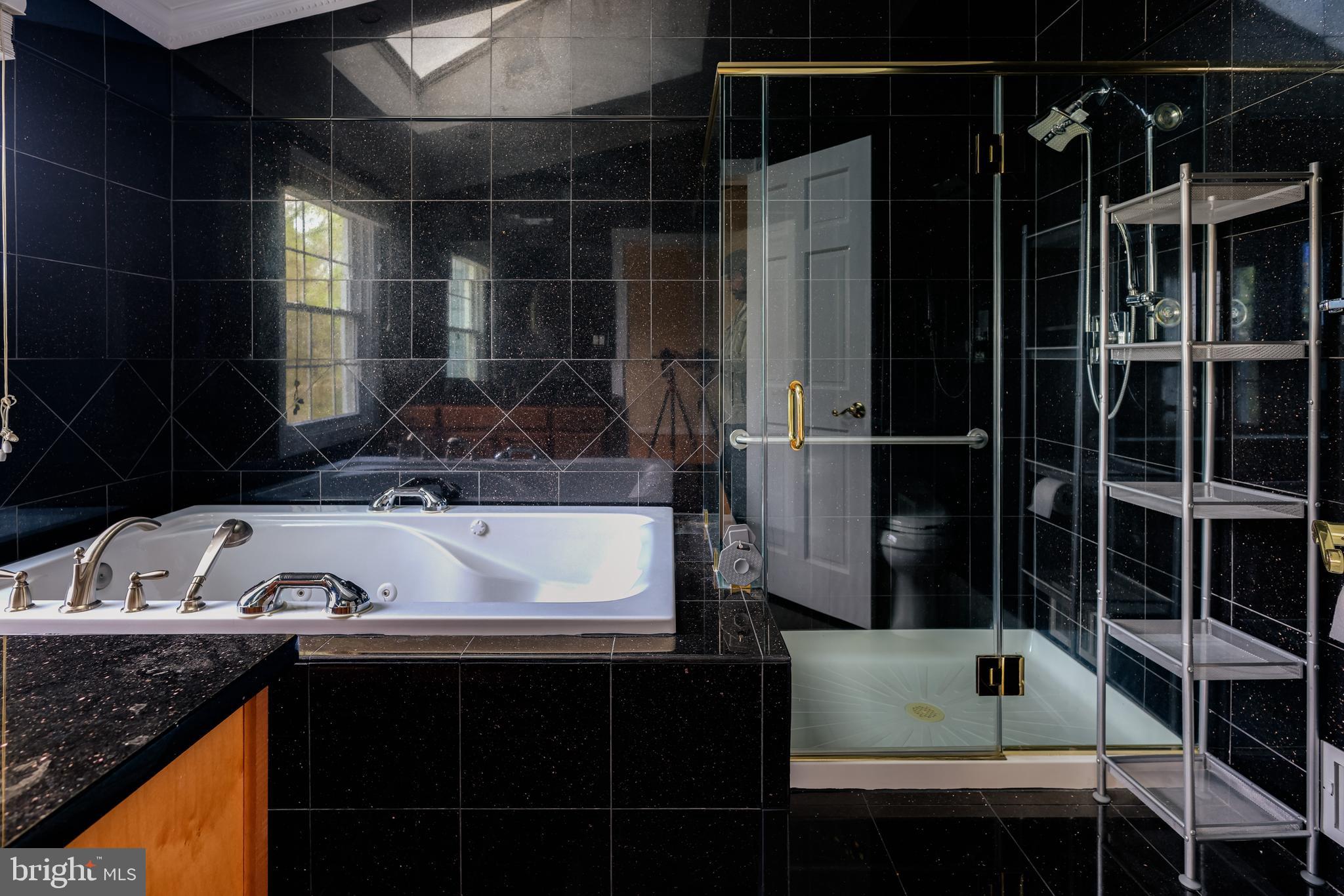 43440 Postrail Square Ashburn, VA 20147 - Photo 25 of 44 a bathroom with a granite countertop sink a mirror and shower