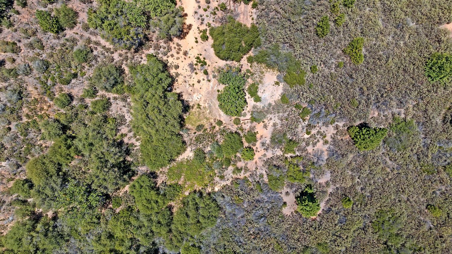 12336 Scott Road Mountain Ranch, CA 95246 - Photo 69 of 70