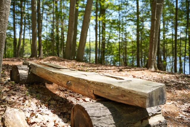 55 Lower Oak Point Road Winterport, ME 04496 - Photo 15 of 32 DSC08949