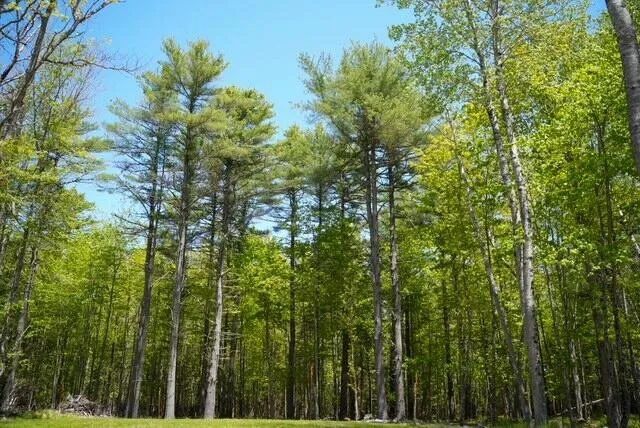 $1,000,000 | 55 Lower Oak Point Road, Winterport, ME 04496