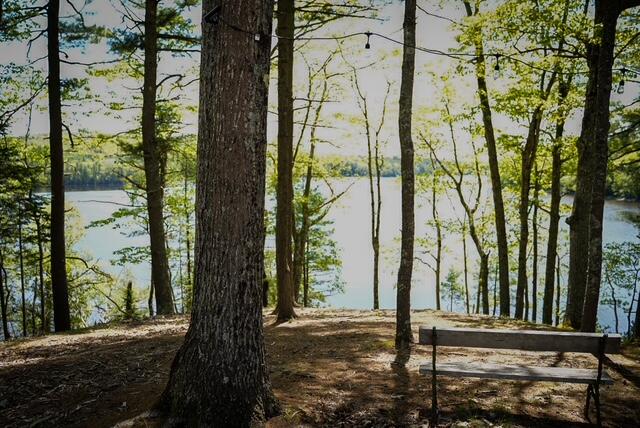 55 Lower Oak Point Road Winterport, ME 04496 - Photo 5 of 32 DSC08937