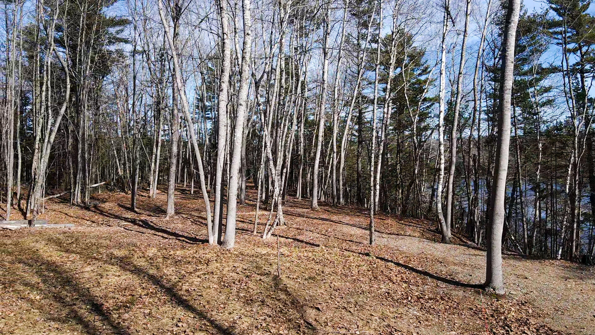 55 Lower Oak Point Road Winterport, ME 04496 - Photo 7 of 32 2025-04-10-15-48-24-457