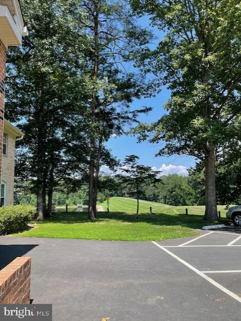 5900 Cove Landing Road, Unit 202 Burke, VA 22015 - Photo 25 of 30 the calming view outside the front door