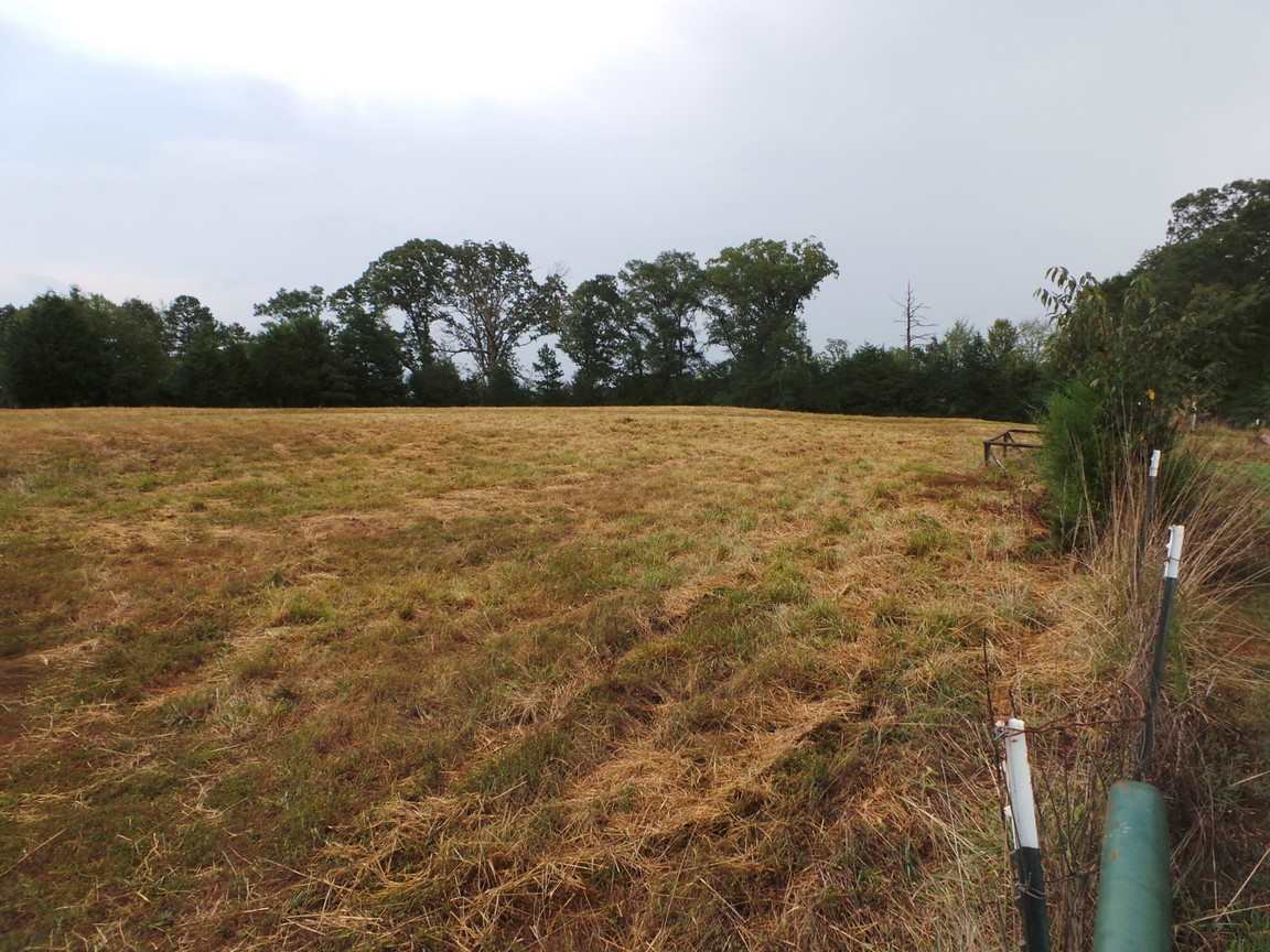 2997 State Rd S-11-54 Gaffney, SC 29340 - Photo 23 of 31