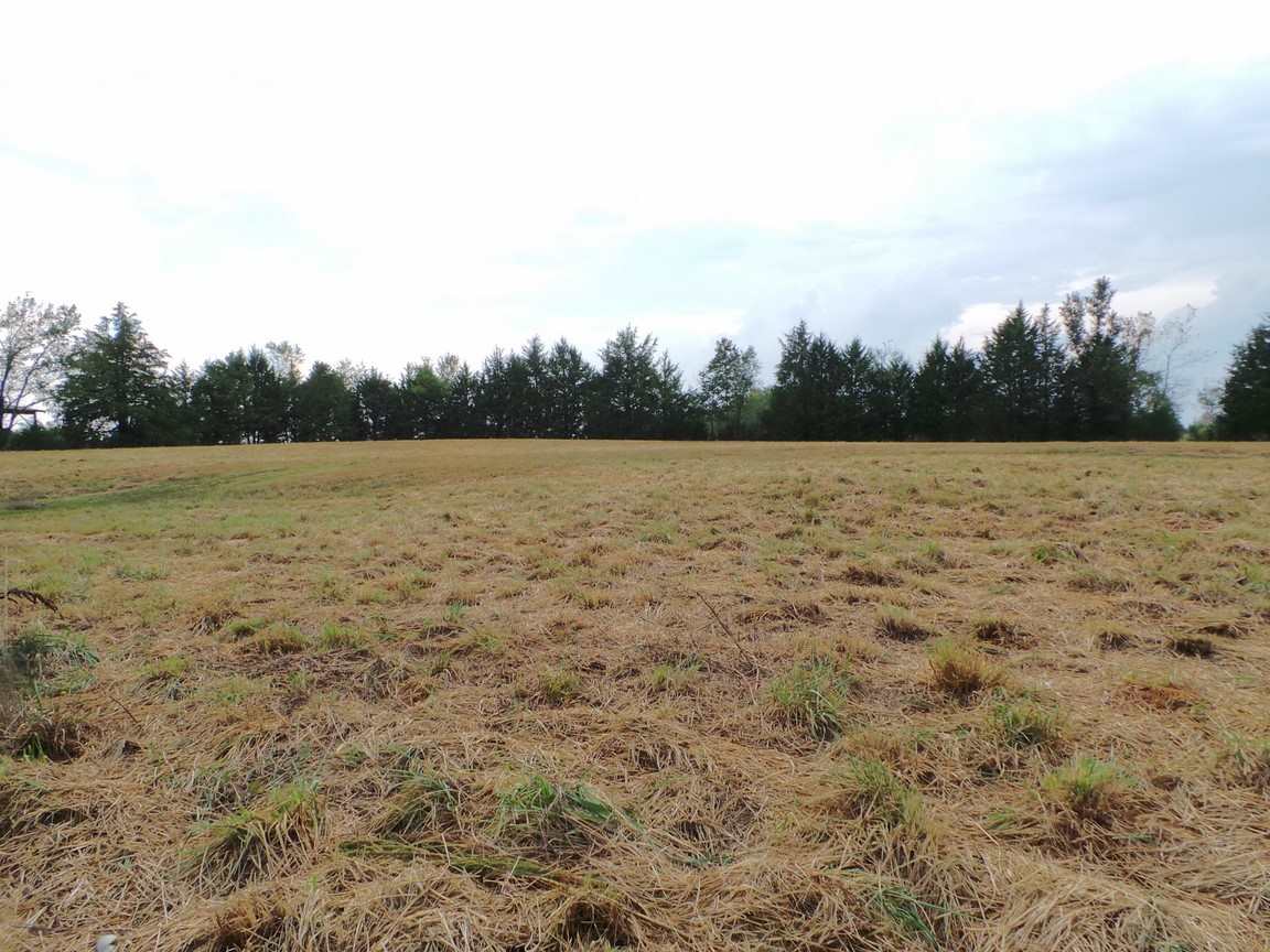 2997 State Rd S-11-54 Gaffney, SC 29340 - Photo 24 of 31