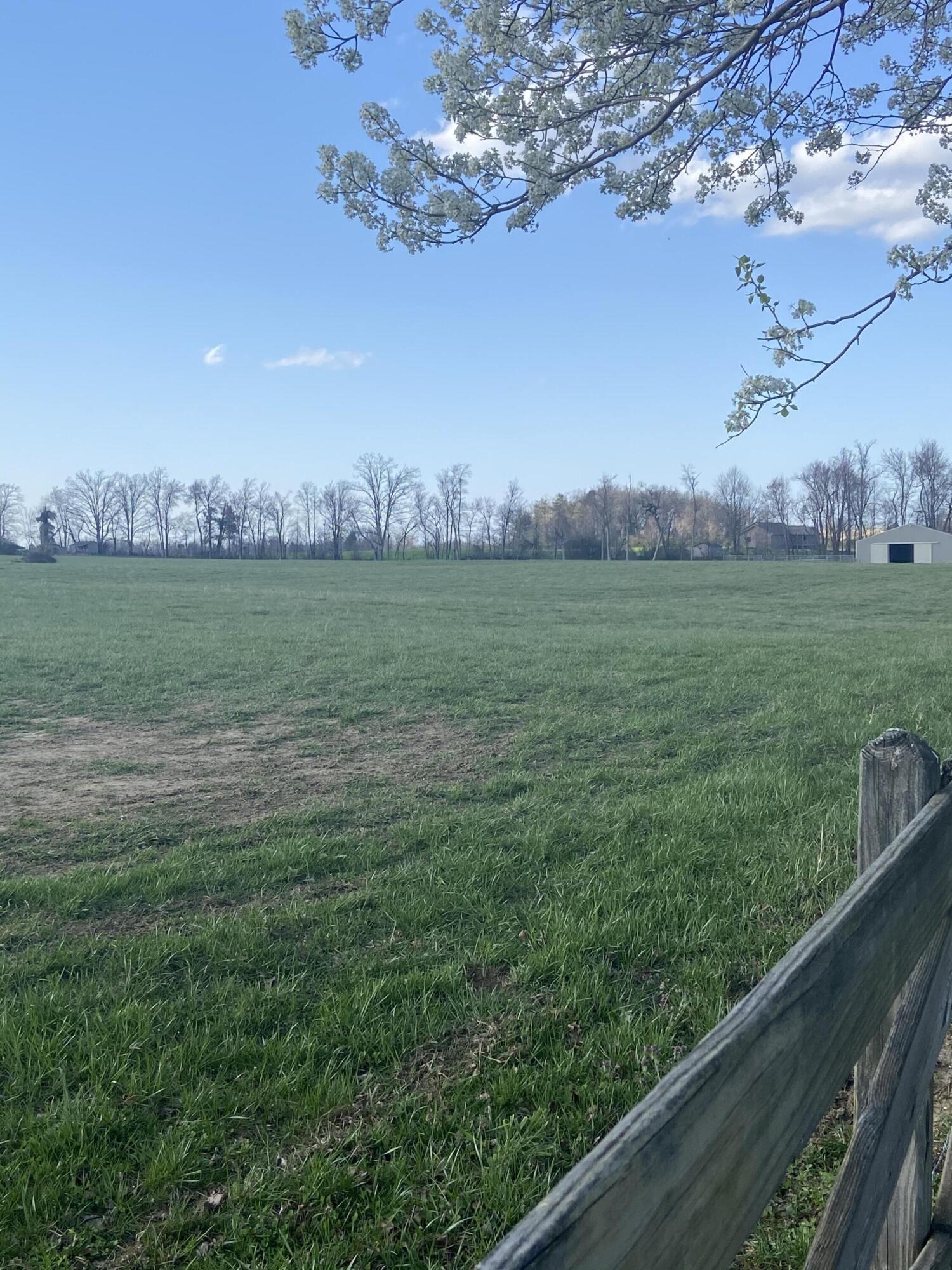 1190 Campground Road Clarkrange, TN 38553 - Photo 8 of 40 DE770974-610E-4761-8C38-DC5298ECFB8B