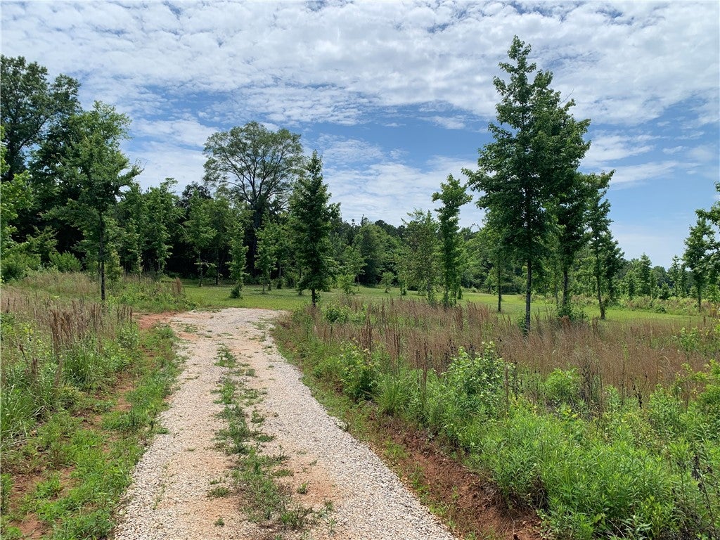 93 Ensminger Road Auburn, AL 36879 - Photo 4 of 10 Gallery Image 4