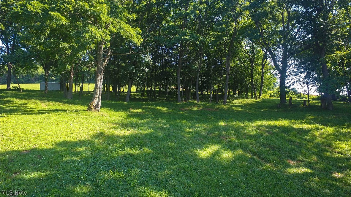 4003 Oak Ridge Road Northwest Sugarcreek, OH 44681 - Photo 8 of 35 Gallery Image 8