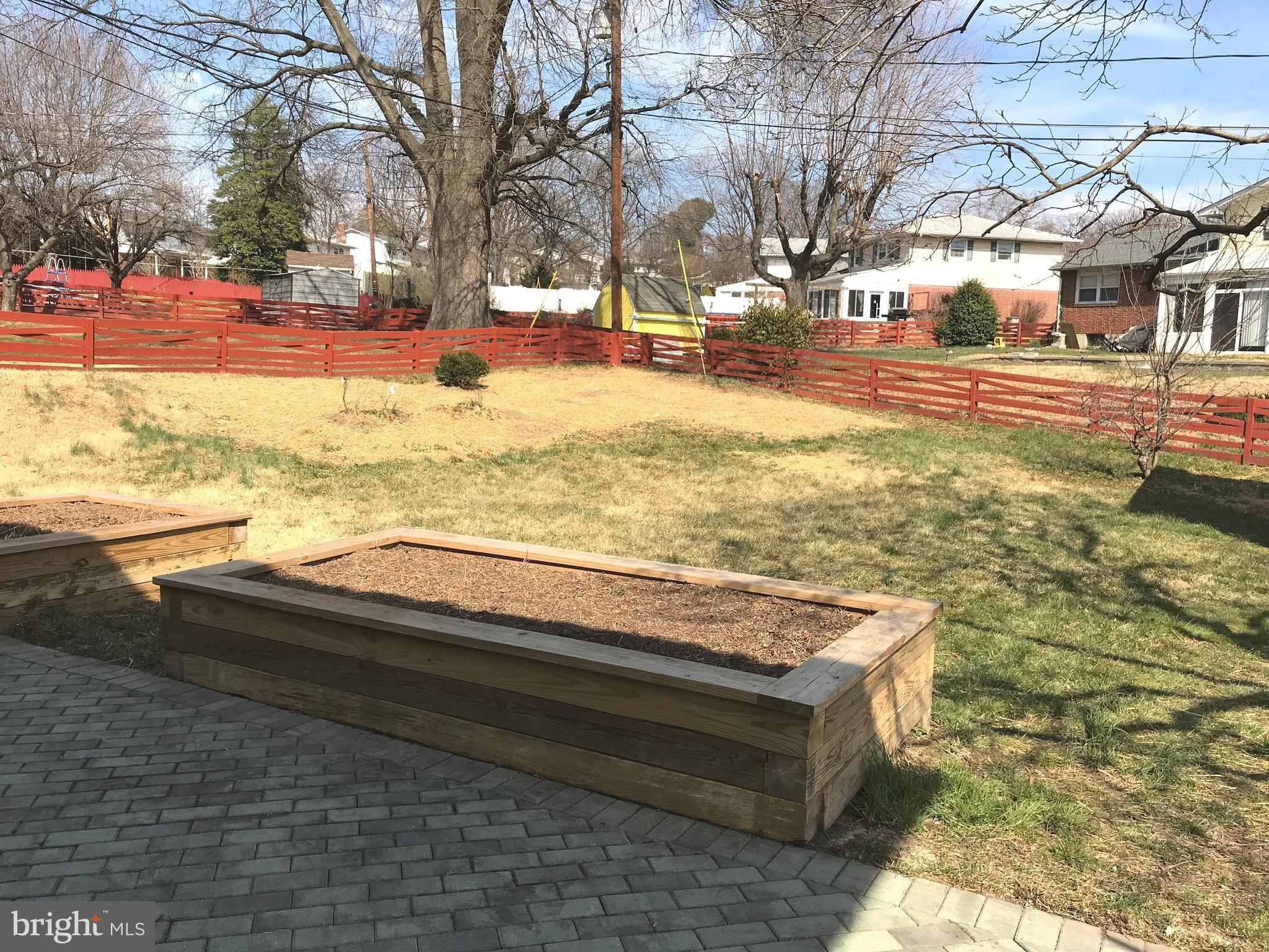 8411 Coco Road Baltimore, MD 21237 - Photo 22 of 23 a view of yard with large trees