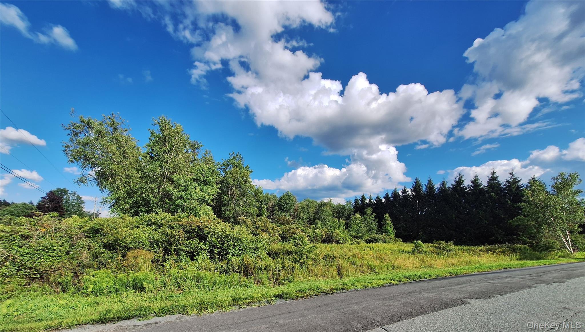Burnt Ridge Road Fallsburg, NY 12733 - Photo 3 of 38 Gallery Image 3