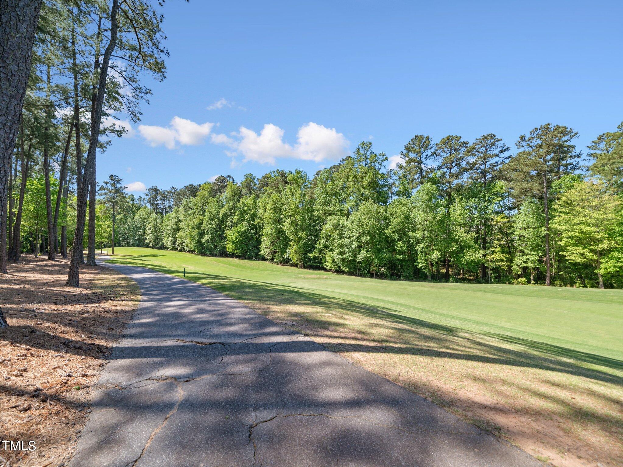 9713 Broadrun Drive Raleigh, NC 27617 - Photo 51 of 62 65-web-or-mls-9713 Broadrun-41