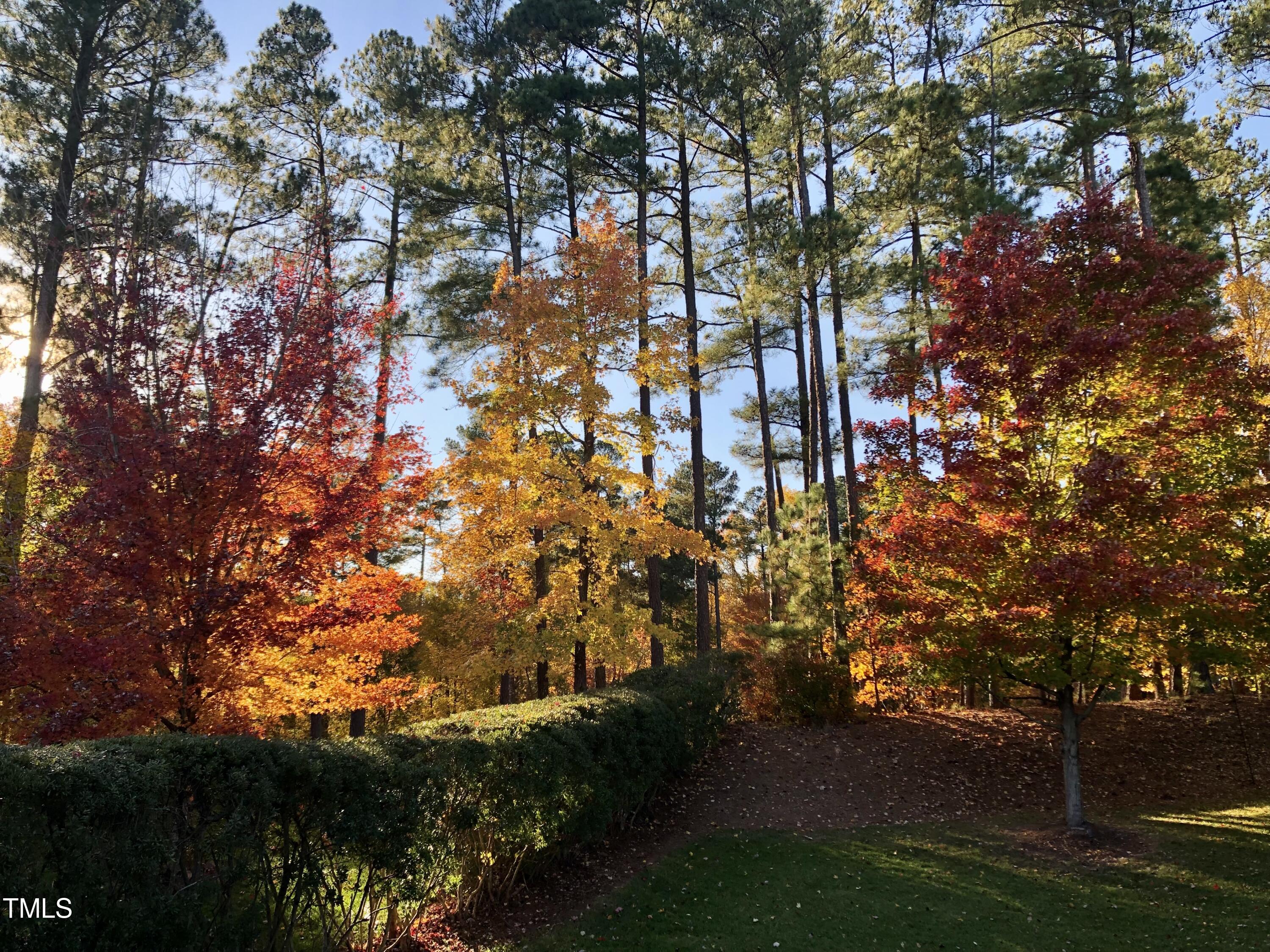 9713 Broadrun Drive Raleigh, NC 27617 - Photo 62 of 62 Fall 2